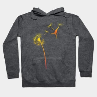 rainbow flying leap graphic illustration Hoodie